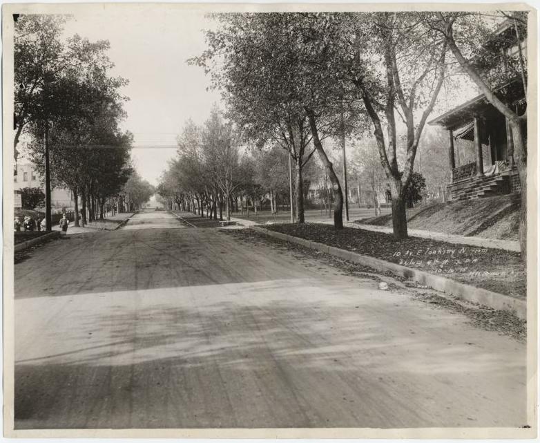Black-and-white photo of an empty, tree-lined residential street. Trees cast shadows on the wide road, and houses with porches are visible on the right side. The scene appears calm and quiet, with no vehicles or people present.
